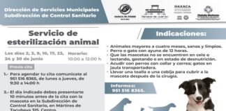En junio, Oaxaca de Juárez brindará servicio de esterilización animal