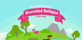 EfeméridesRIO: Día de la Diversidad Biológica
