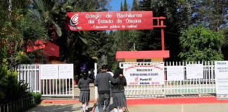 Cobao realiza con éxito examen de admisión en línea