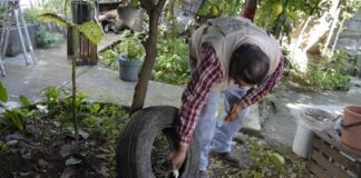 Recomienda IMSS evitar encharcamientos para prevenir contagios por dengue