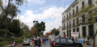 Invisibiliza gobierno violaciones a Derechos Humanos, acusa LIMEDDH