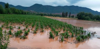 Continuarán lluvias en Oaxaca