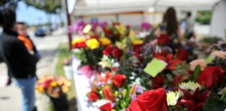 Exhorta IMSS a celebrar Día de las Madres sin romper la Sana Distancia