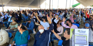 Avelino Cohetero, nuevo presidente del Consejo regulador de Mezcal en Oaxaca