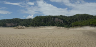 Sequía afecta a más de 27 estados de la República