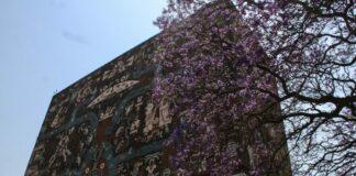 UNAM cubre adeudo con profesorado de asignatura y ayudantes