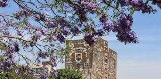 UNAM prevé regreso gradual a las aulas en agosto