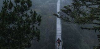 Vacaciones familiares: checa lo que puedes hacer en la Sierra Norte de Oaxaca
