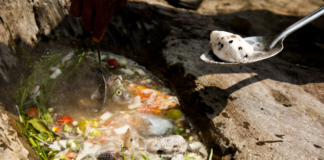 Caldo de Piedra ya es Patrimonio Cultural Intangible de Oaxaca