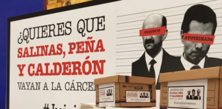 ¿Por qué la Consulta?