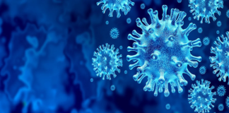 Registran los SSO 308 casos activos de COVID-19