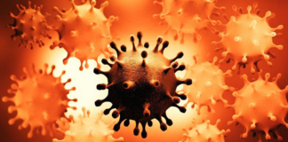 Circulan 10 variantes de COVID-19 en Oaxaca: SSO