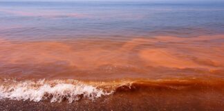 A partir del 3 de mayo iniciará “evento de mar de fondo”