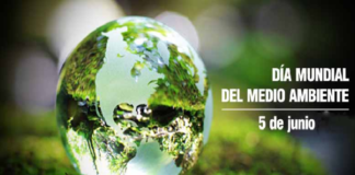 EfeméridesRIO: Día Mundial del Medio Ambiente