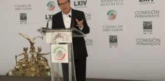 Eliminar diputaciones plurinominales debe incluirse en reforma electoral, dice Monreal