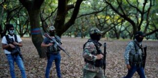 Narcos obligan a jóvenes michoacanos a ser ‘halcones’