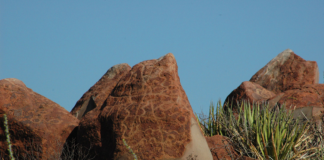 Oaxaca y Camboya cotejan experiencias en el coloquio virtual Arqueología y Restauración