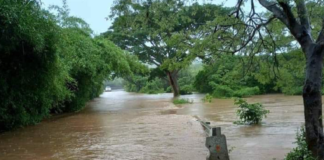 Dejan lluvias más de 2 mil 500 damnificados en Oaxaca
