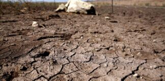 Sequía en México se debe al fenómeno de la Celda de Hadley: SMN