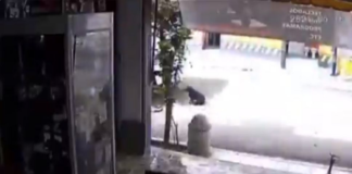 Suspenden a urbanero que arrolló a canino en Oaxaca