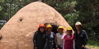 Dan uso sostenible a madera en Sierra Juárez de Oaxaca