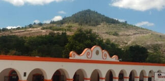 Fallece edil de Nativitas, probablemente de COVID