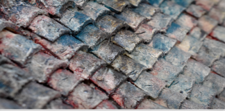 Este viernes se inaugura la exposición “La Casa, el cielo y la serpiente”