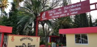 Realizará Cobao inscripciones y reinscripciones en línea