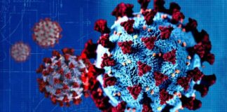 7 cosas que debes saber sobre la variante delta