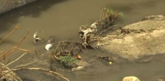 Aumentan a 98 los casos confirmados de dengue en Oaxaca