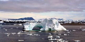 Deshielo del Ártico libera contaminantes químicos eternos