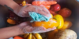 Exhorta SSO extremar precauciones en termporada de lluvia