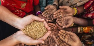 La Covid-19 agravará el hambre en el mundo, advierte la FAO