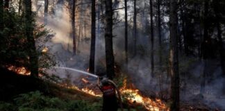Putin ofrece ayuda a Turquía para sofocar incendios forestales