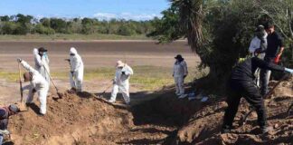 ‘Madres Buscadoras de Tamaulipas’ piden tregua al CDG para buscar familiares