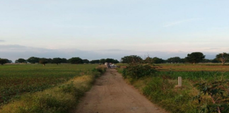 Abandonan cadáver de mujer en Cuilapam de Guerrero