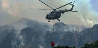 Incendios por el estiaje arrasaron más de 500 mil hectáreas