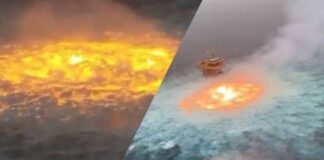 Advierten sobre daños ambientales irreversibles, por fuga en Golfo de México