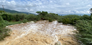 Por lluvias, abren represa de Rojas de Cuauhtémoc