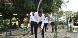 Plantan ahuehuete en agencia deChapultepec