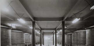 Exposición virtual del AGEO atrae visitantes de México