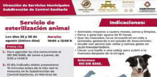 Ofrecerán servicio de esterilización animal en Oaxaca de Juárez