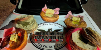 ¿Dulce metal? Hallan en panes y tlayudas 400 cartuchos de balas