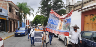 Pobladores de la Mixteca protestan en Conafor, piden apoyos para combatir plagas