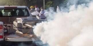 Exhorta SSO a mantener espacios limpios para evitar dengue