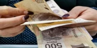Crece economía 1.5% en el segundo trimestre de 2021