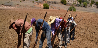 Geoparque Mundial UNESCO de Oaxaca es referente para resistir el cambio climático