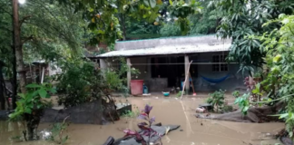 CEPCO mantiene monitoreo en Guichicovi por inundaciones