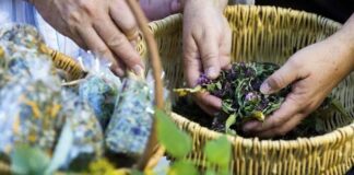 ¿Turismo médico? Extranjeros acuden a Oaxaca a curarse de espanto