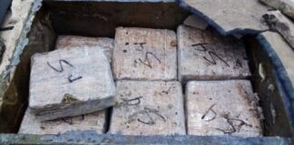 Aseguran más de mil kilos de mariguana en Manzanillo, Colima